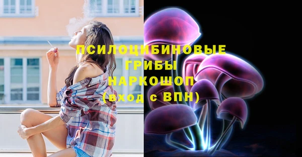 ALPHA-PVP Горняк