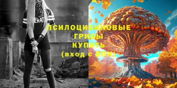 спайс Горнозаводск