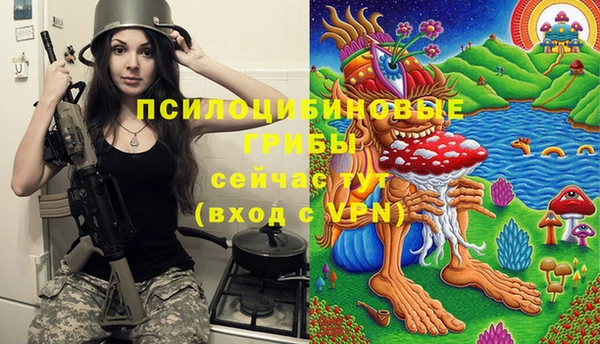 спайс Горнозаводск
