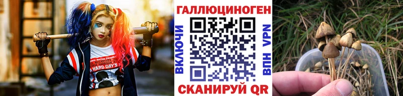 даркнет какой сайт  наркота  Минеральные Воды  Галлюциногенные грибы GOLDEN TEACHER 