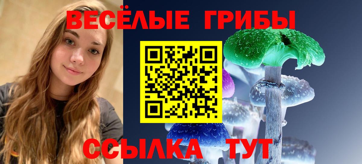Псилоцибиновые грибы мицелий  Вход с VPN  Минеральные Воды  Псилоцибиновые грибы GOLDEN TEACHER 